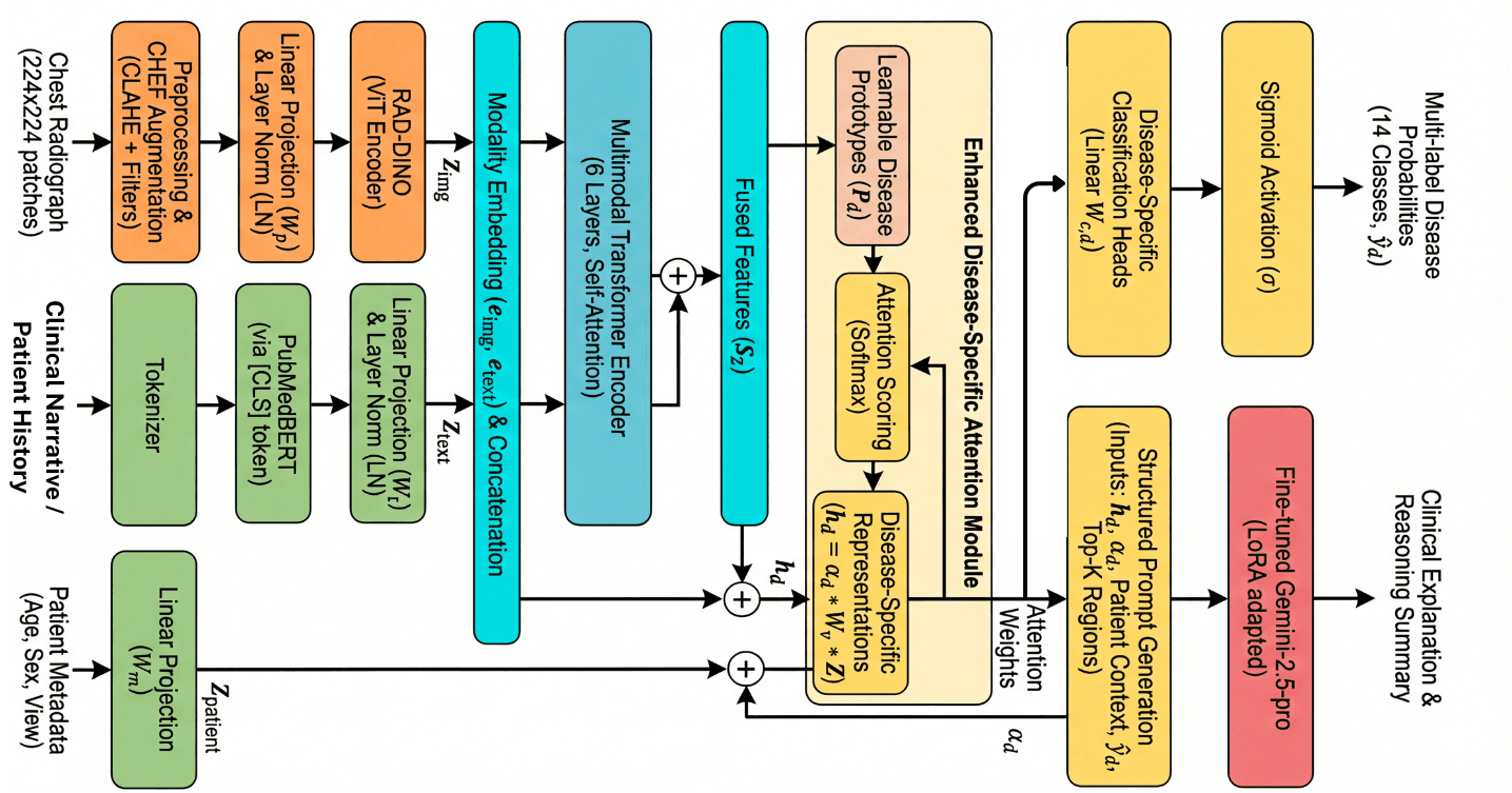 RadFusion model pipeline
